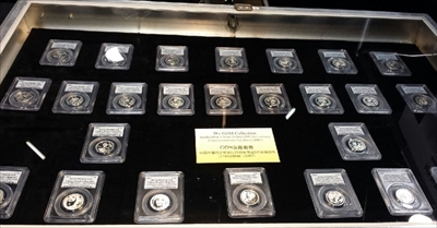 GDH Silver Pandas